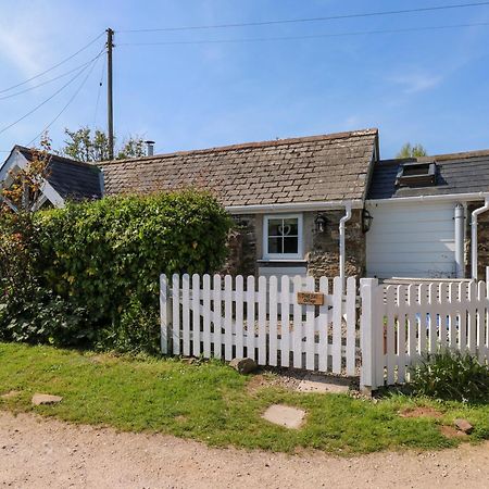Toad Hall Cottage Totnes Eksteriør billede
